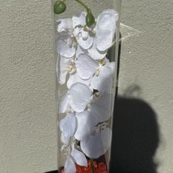 20x5 Glass Cylinder Vase