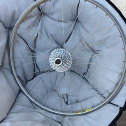 Vintage Bike Wheel 