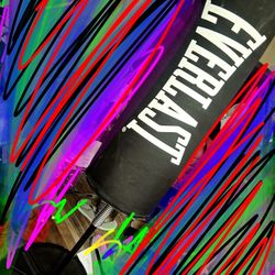 Punching Bag