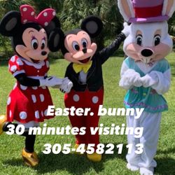 Easter Bunny 