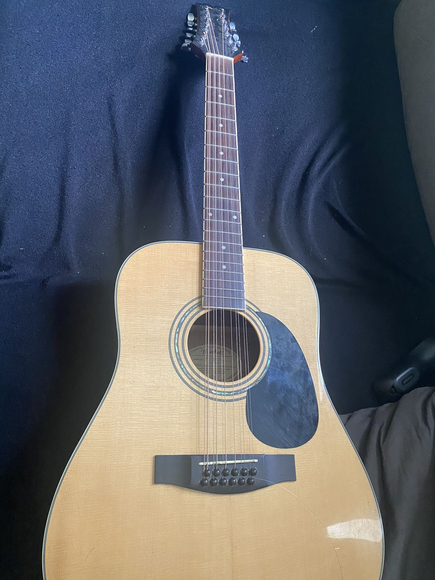 12 string acoustic guitar