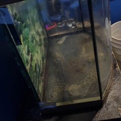 30 Gallon Bowfront No Cracks Or Leaks