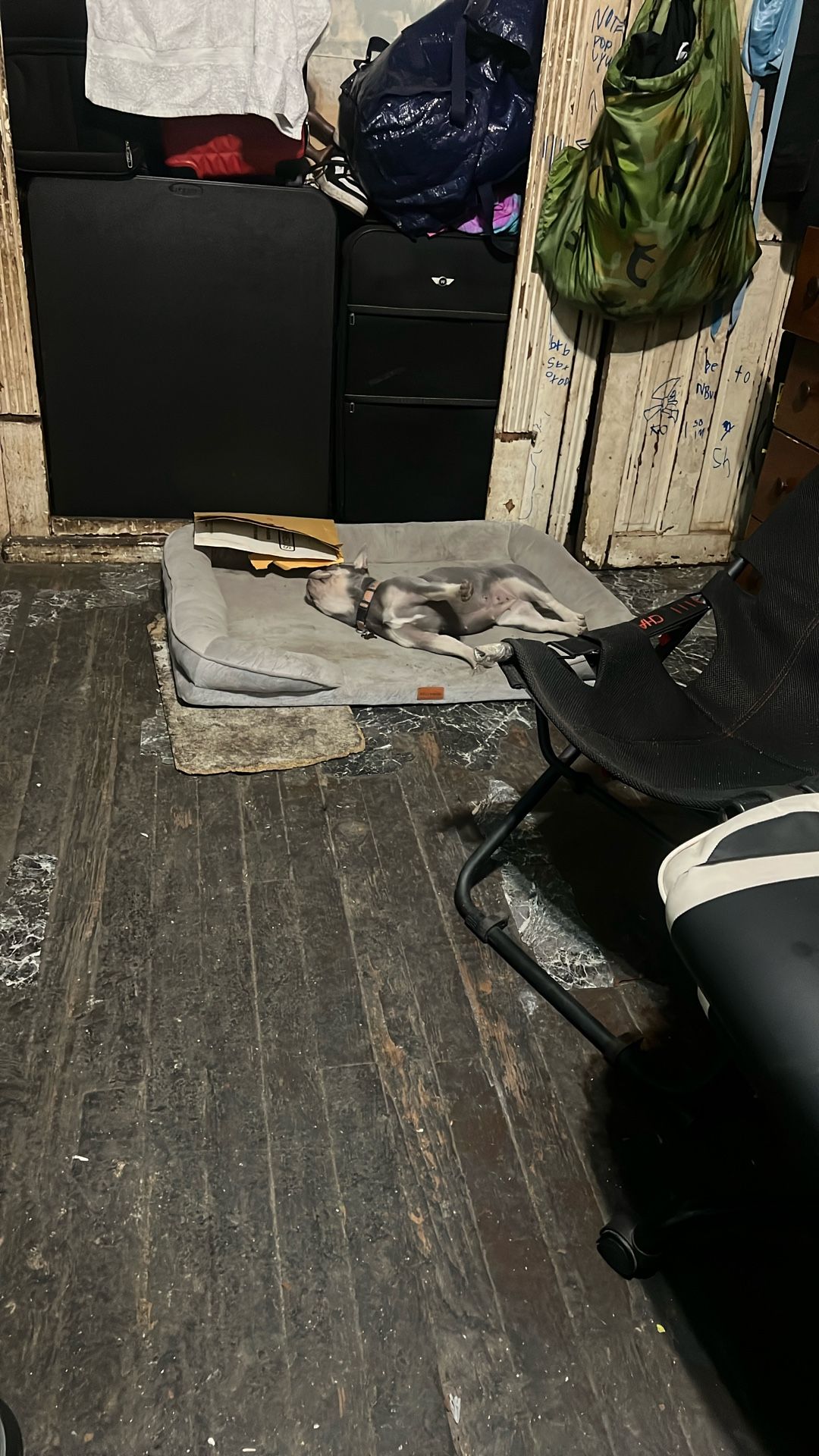 Dog Bed Large