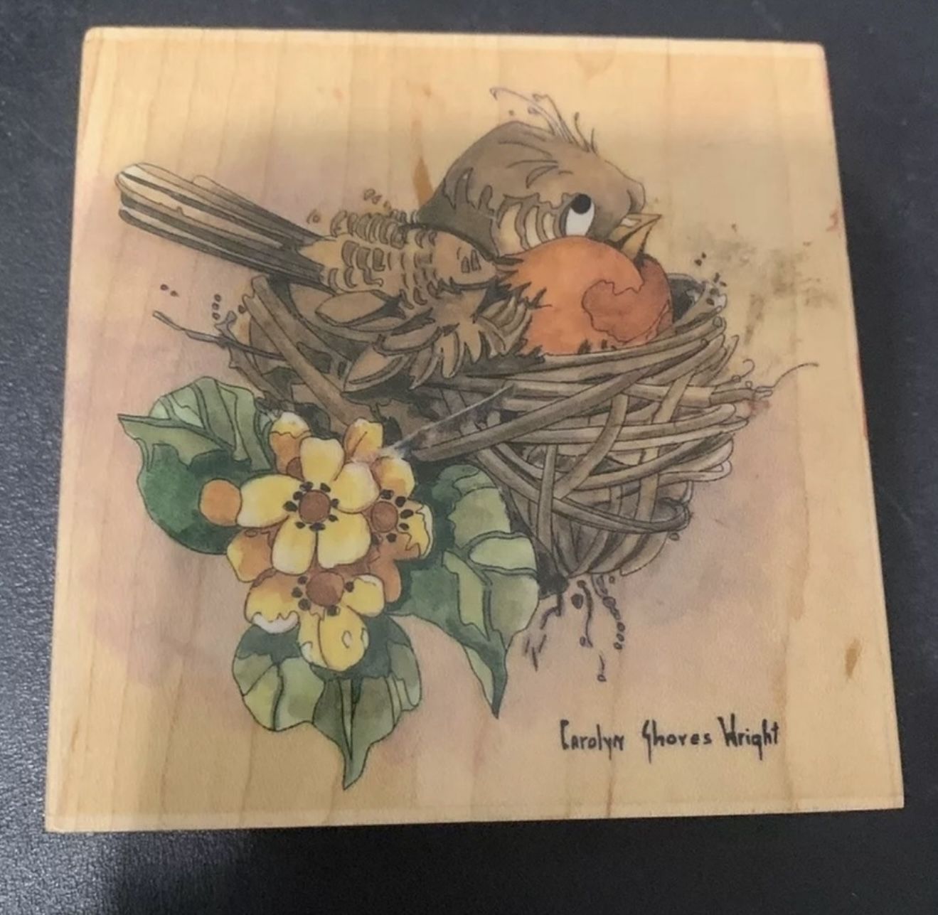 Stamps Happen, LG Rubber Stamp, 60043 Robin Bird, Nesting, Flowers