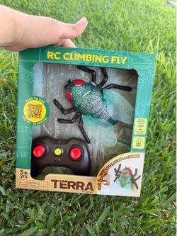 Toy