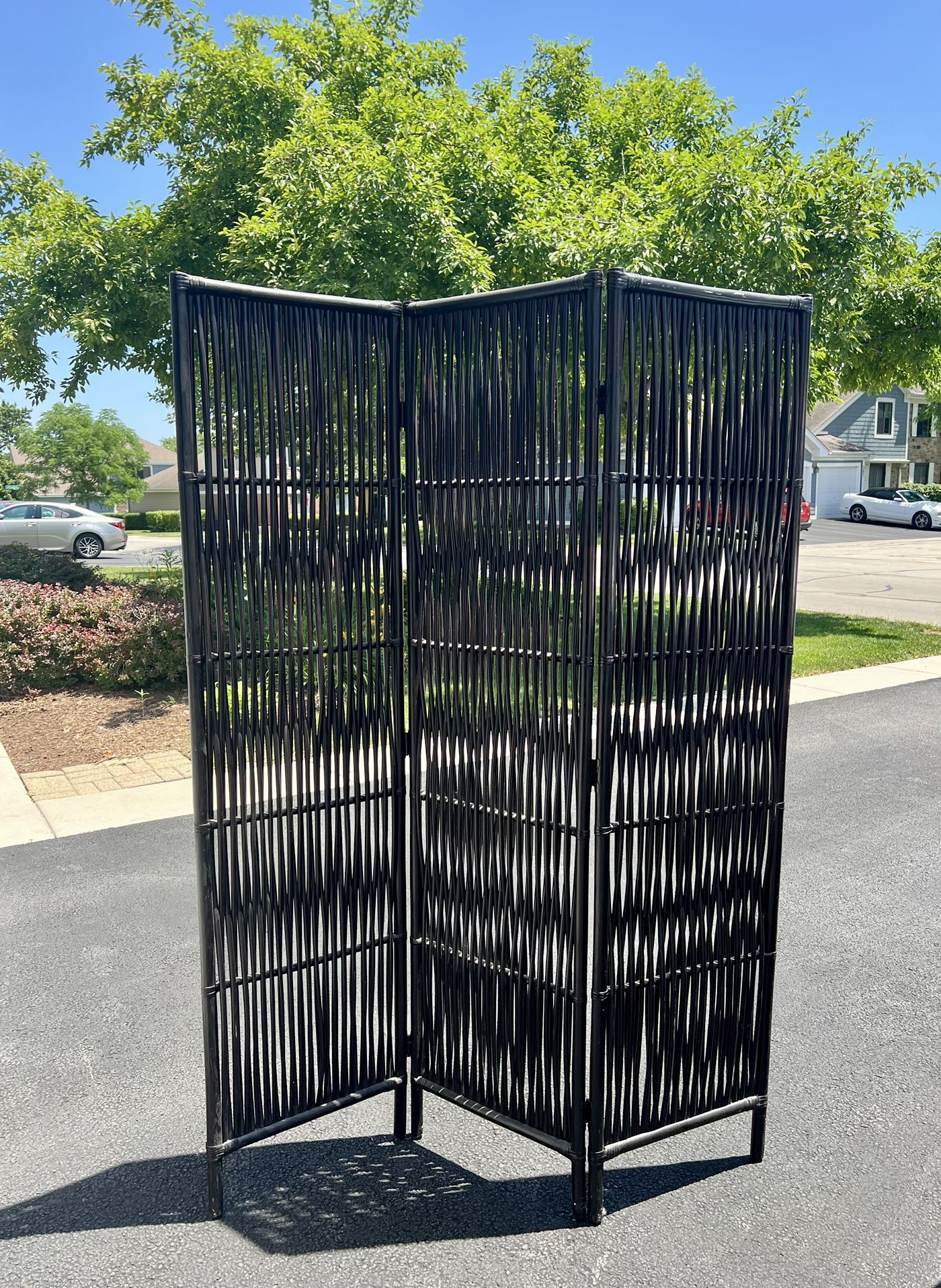 Bamboo Folding Privacy Screen
