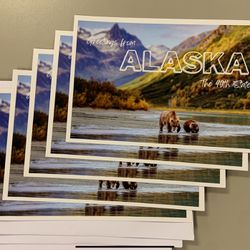 Greetings From Alaska Postcard + Envolope