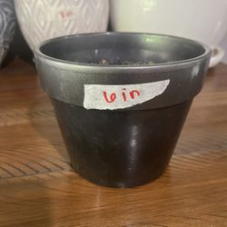 Plant Pot - 6”