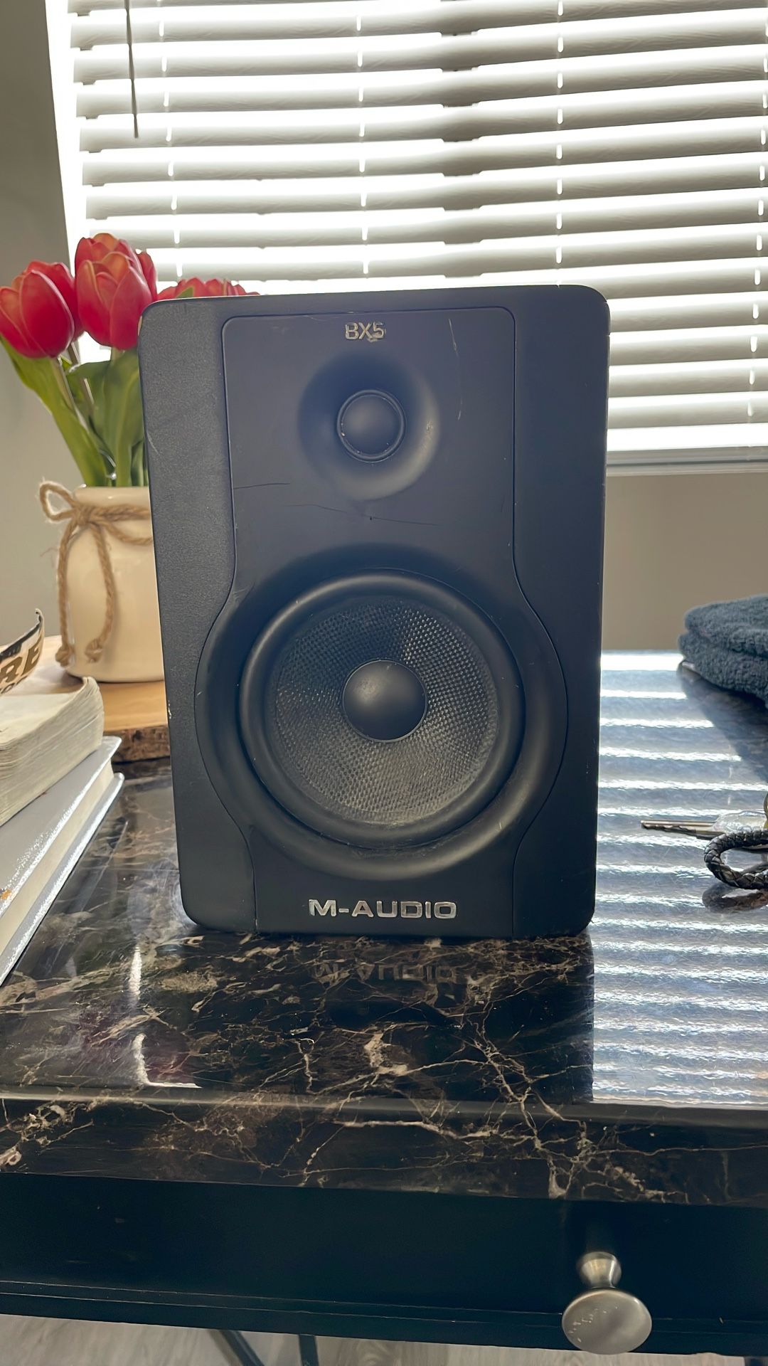 M-Audio BX5 Audio Studio monitor