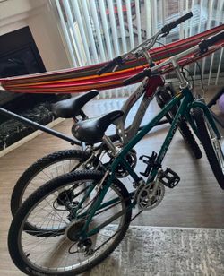Bicicletas 80 cada una