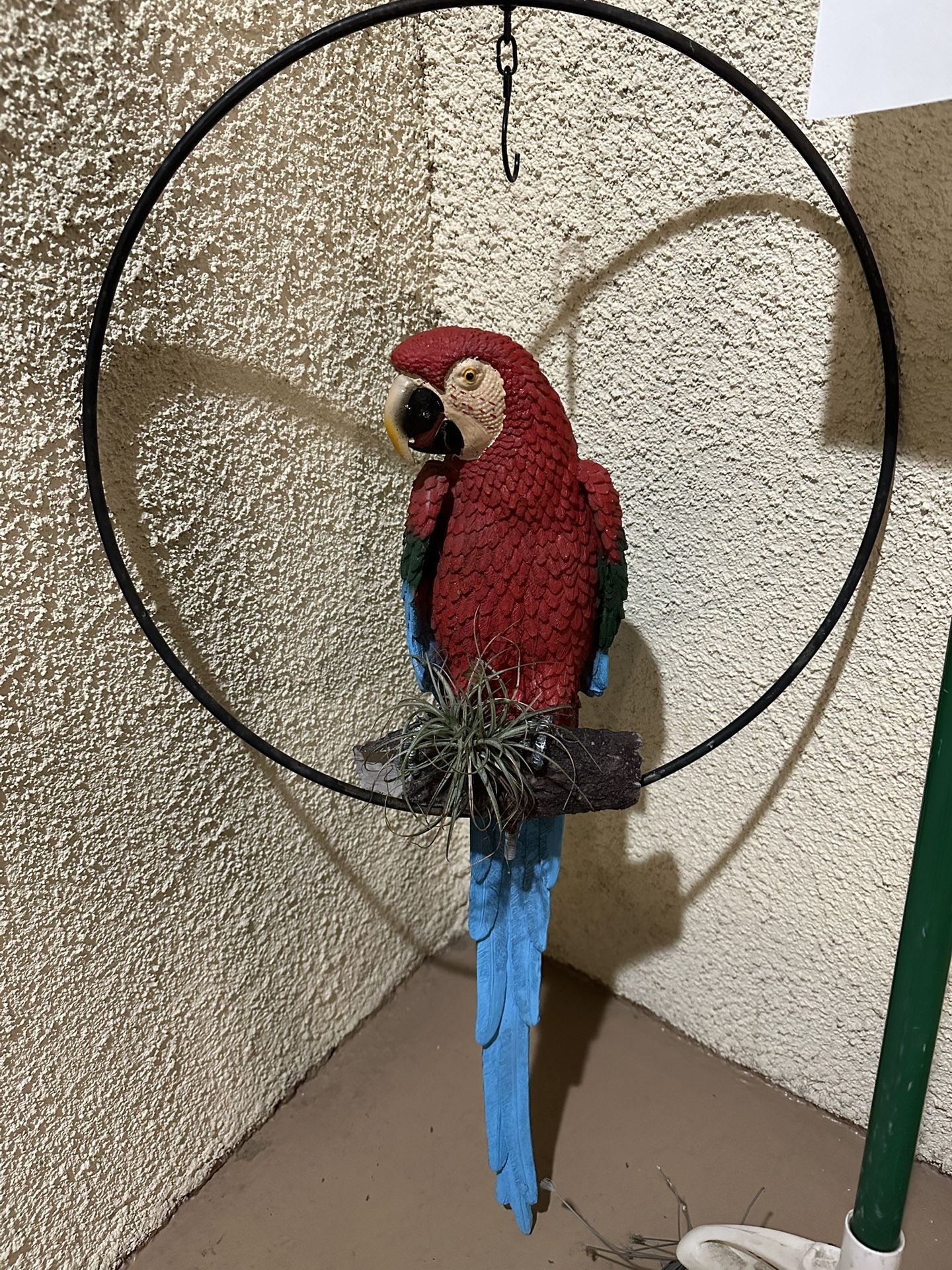 Free Parrot Plant
