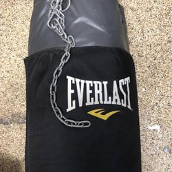 Everlast Punching Bag