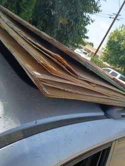 Triply wood 3foot to 4 foot by 8 foot quarter thick