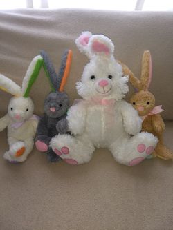 Animal Adventure ,Bunnies