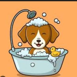 Dog Baths