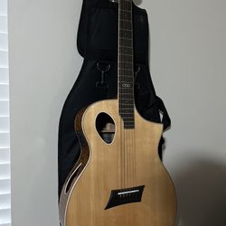 Michael Kelly Guitar 