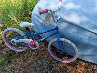 Huffy Seastar 20 Inch Bicycle Ready To Ride 
