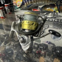 Daiwa Procyon 4000 Salt And Fresh Water Fishing Reel. 