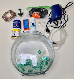 Ultimate Betta Fish Starter Bundle – Everything You Need!