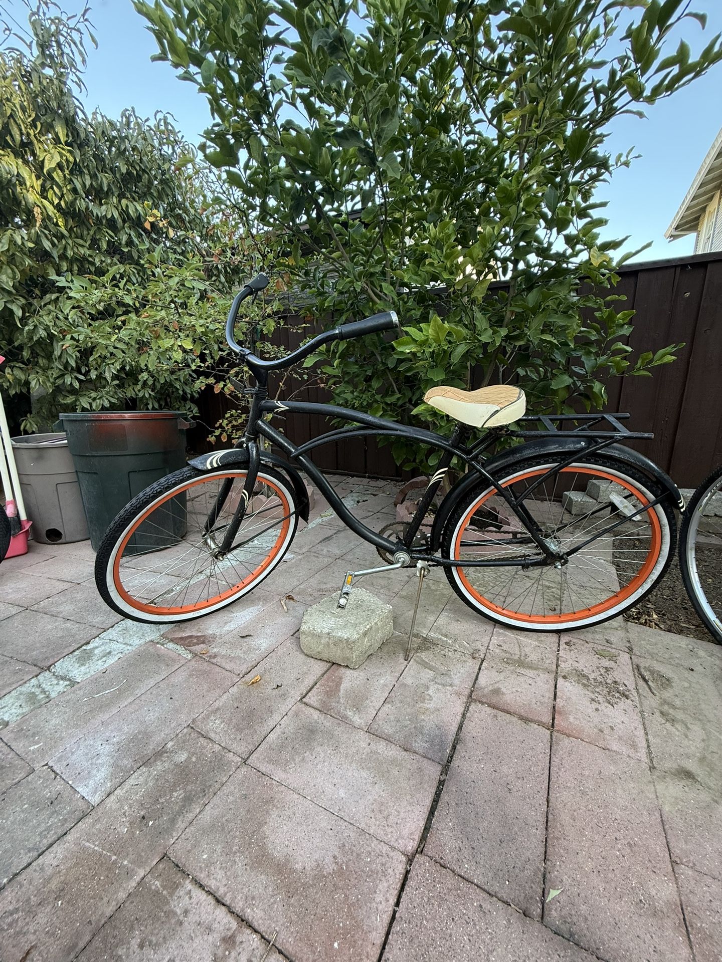 Beach Cruiser