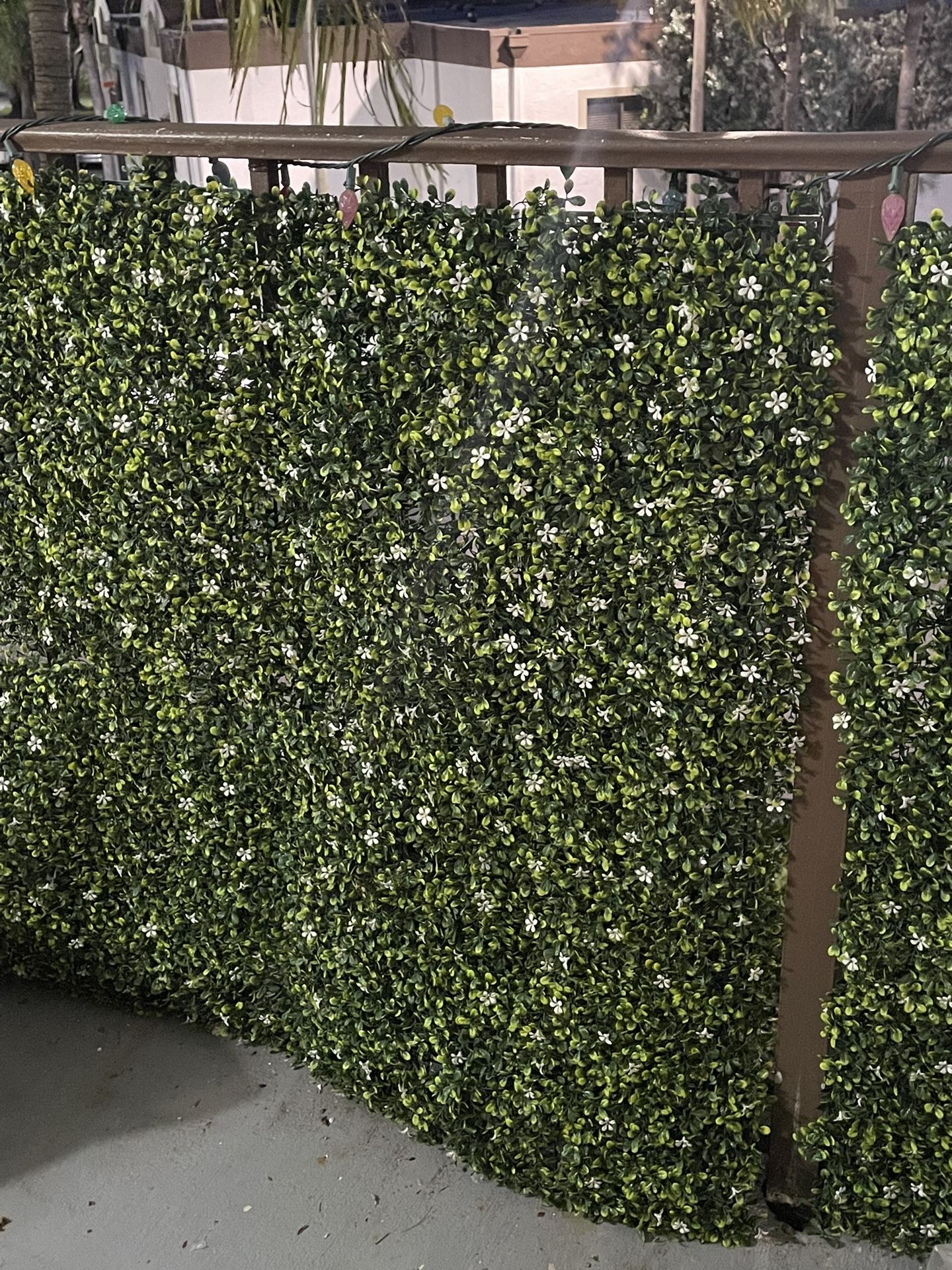 Wall Greenery