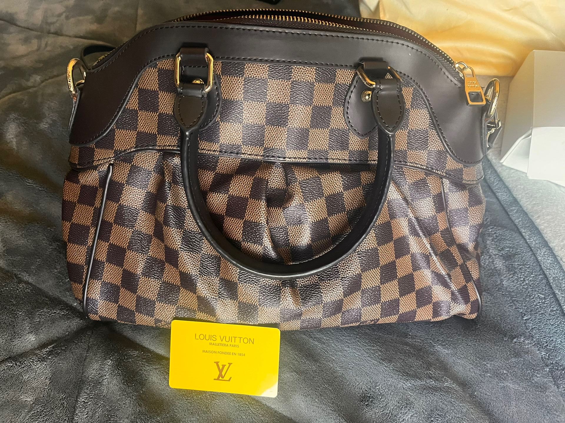 Louie V Shoulder Bag