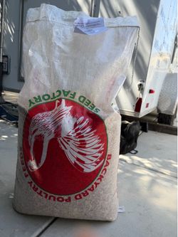 Chicken food/seeds