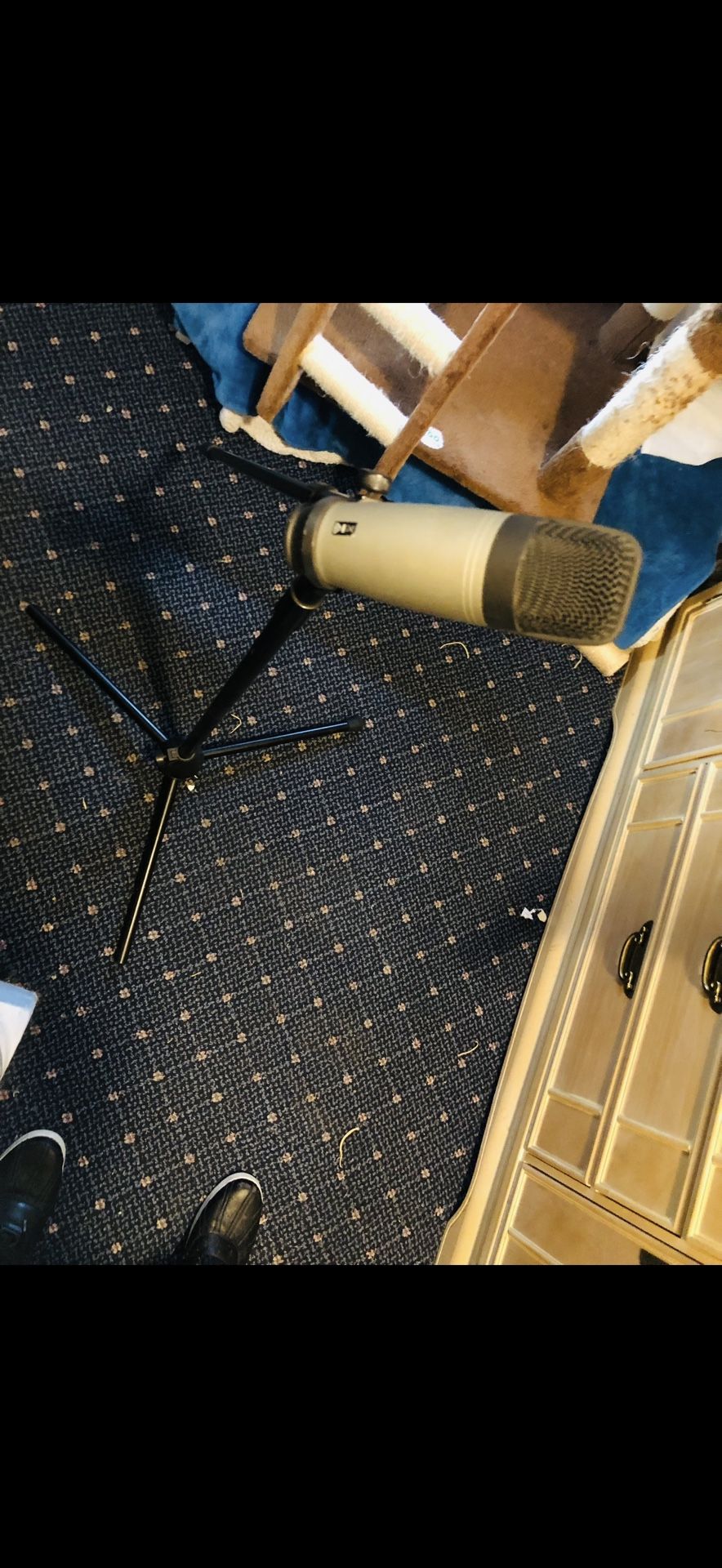 Vintage Microphone