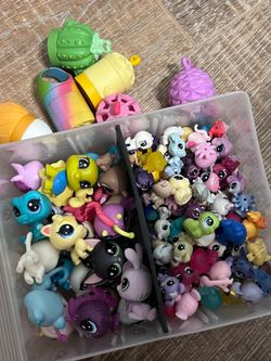 generation 5/6 mini littlest pet shops