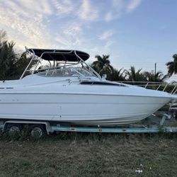 Wellcraft walk around 