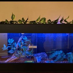 Reptile Cage (KAGE)