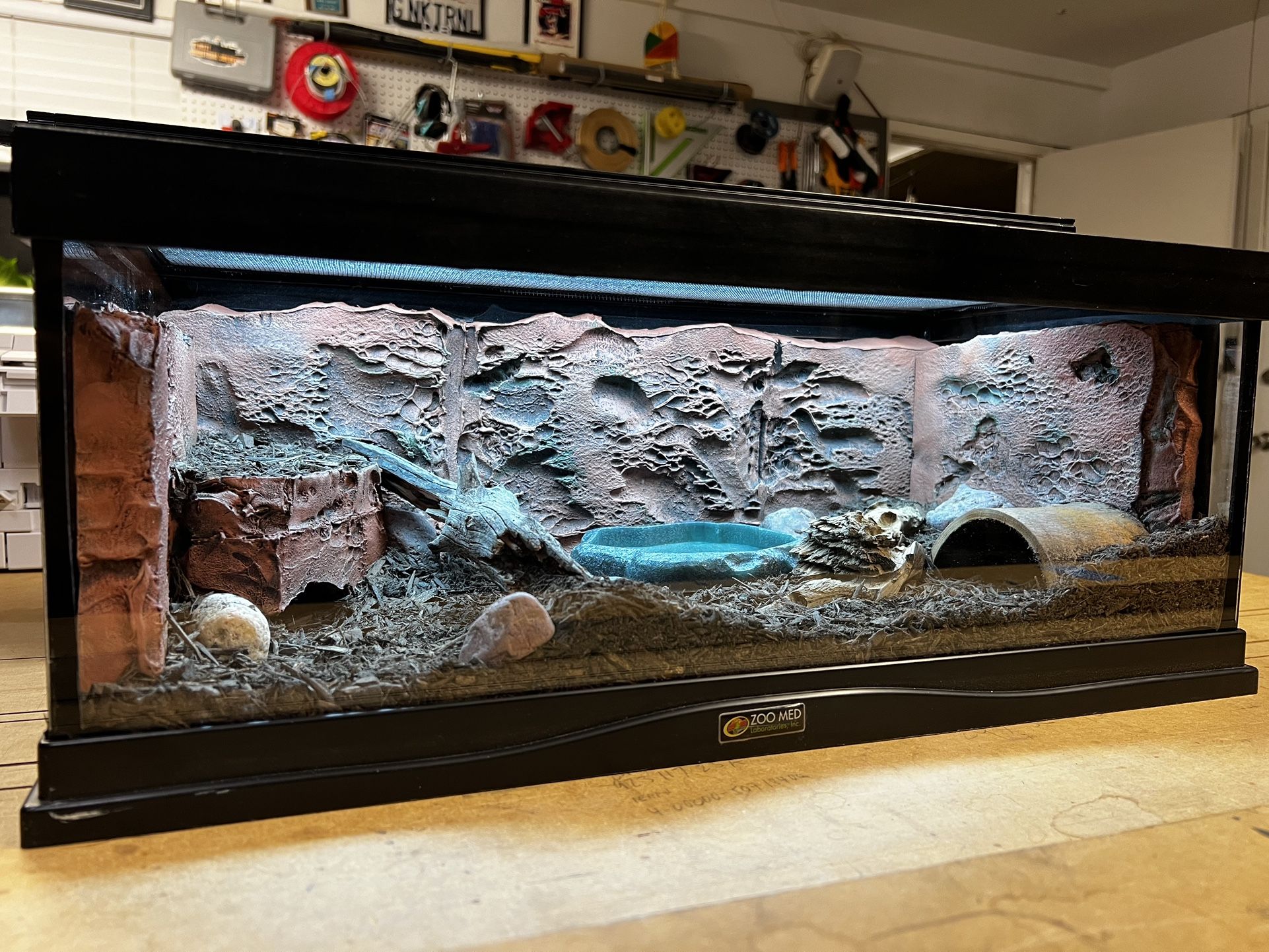 Custom! Fresh Build 8G Low Terrarium