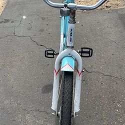 Lady’s Beach Cruiser 