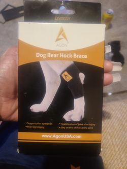 DOG REAR HOCK BRACE