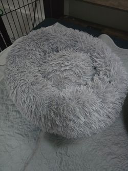 Pet bed