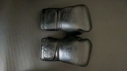 Fairtex BGV14 Microfiber Boxing Gloves