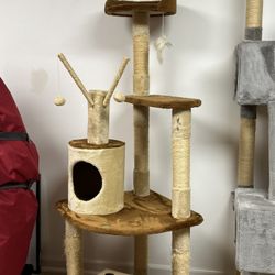 Cat Scratcher