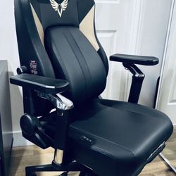 Eurgoninic Desk Chair