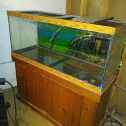 Fish Tank