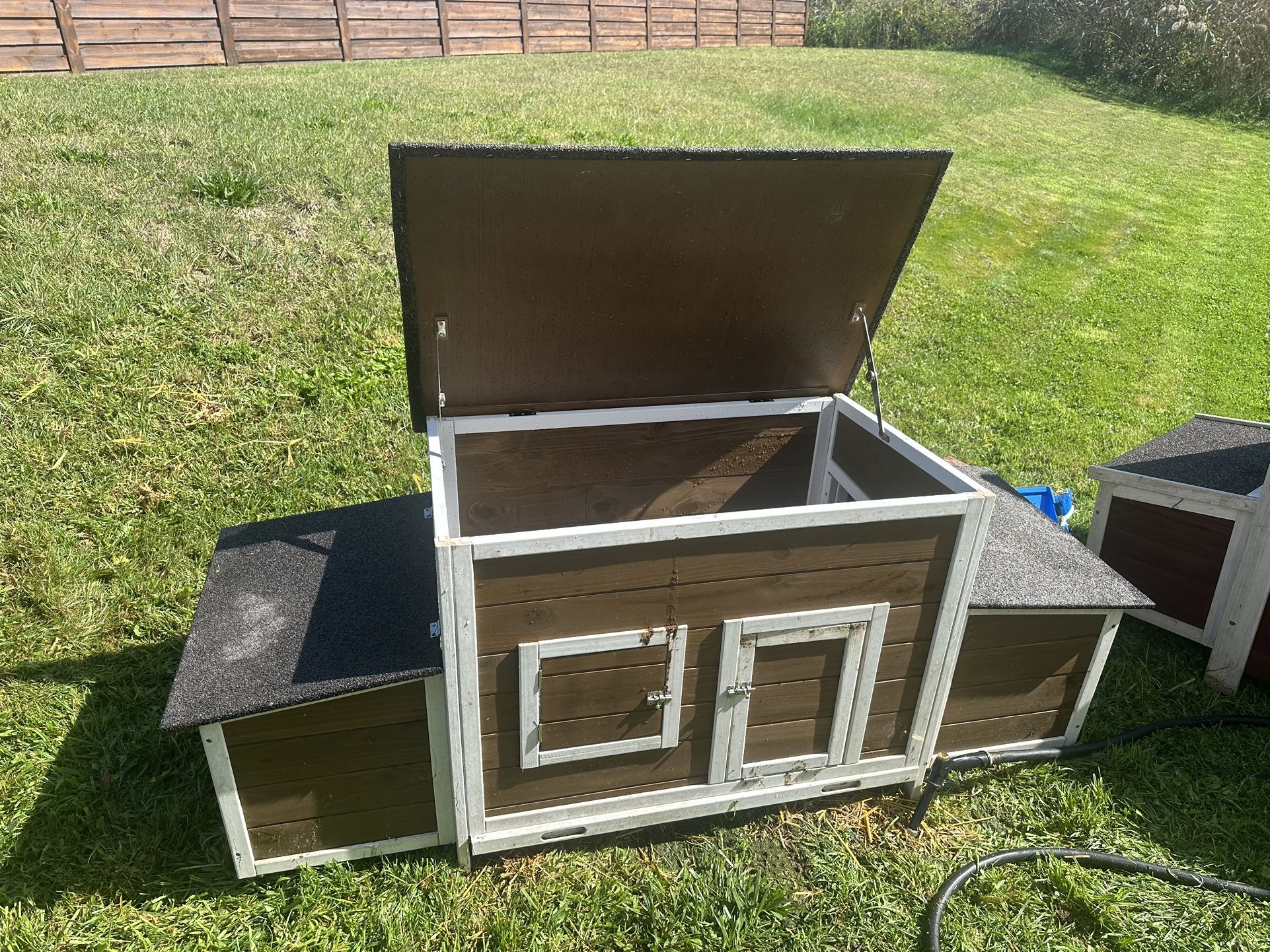 Chicken Coop
