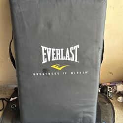 Everlast Strike shield- Punching Shield 