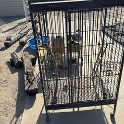 Bird Cage