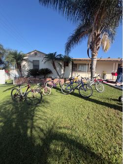 Bikes