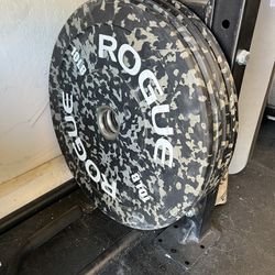 Rogue Fitness 10lb Fleck Plates