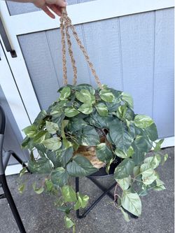 Large Faux Hanging Pothos Plant with Woven Basket & Macramé Hanger