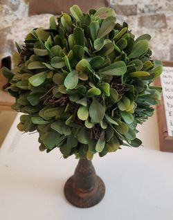 Pottery barn plant