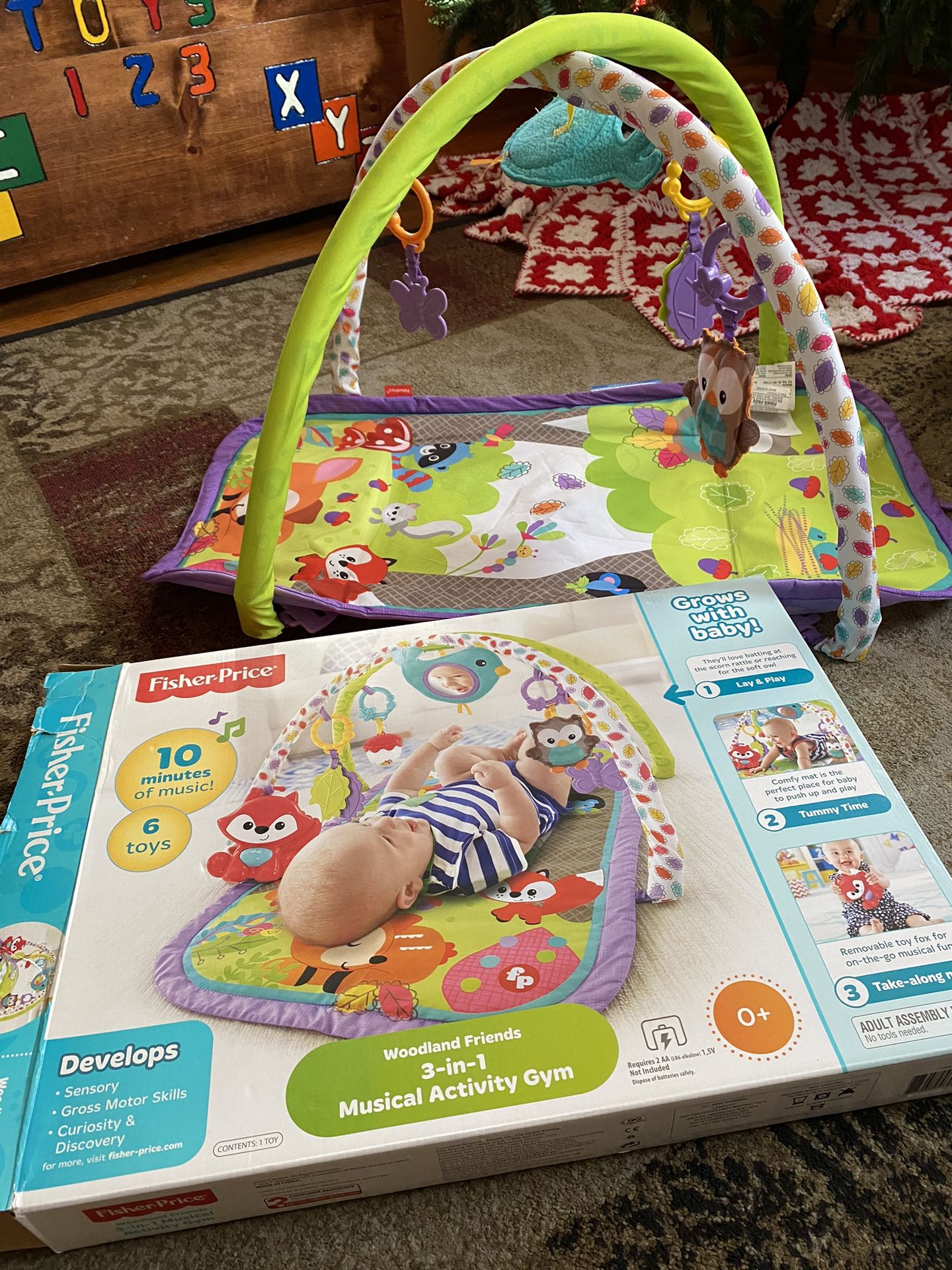 Infant Playmat