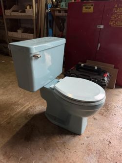 Vintage Blue toilet