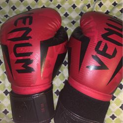 Venom Boxing Gloves 