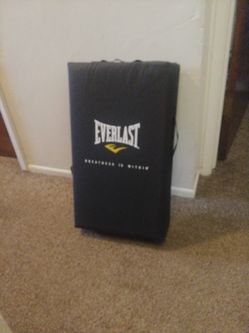 Everlast strike shield